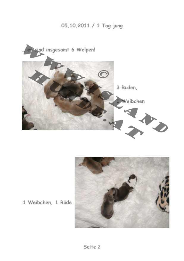 A-Wurf – Bild 2