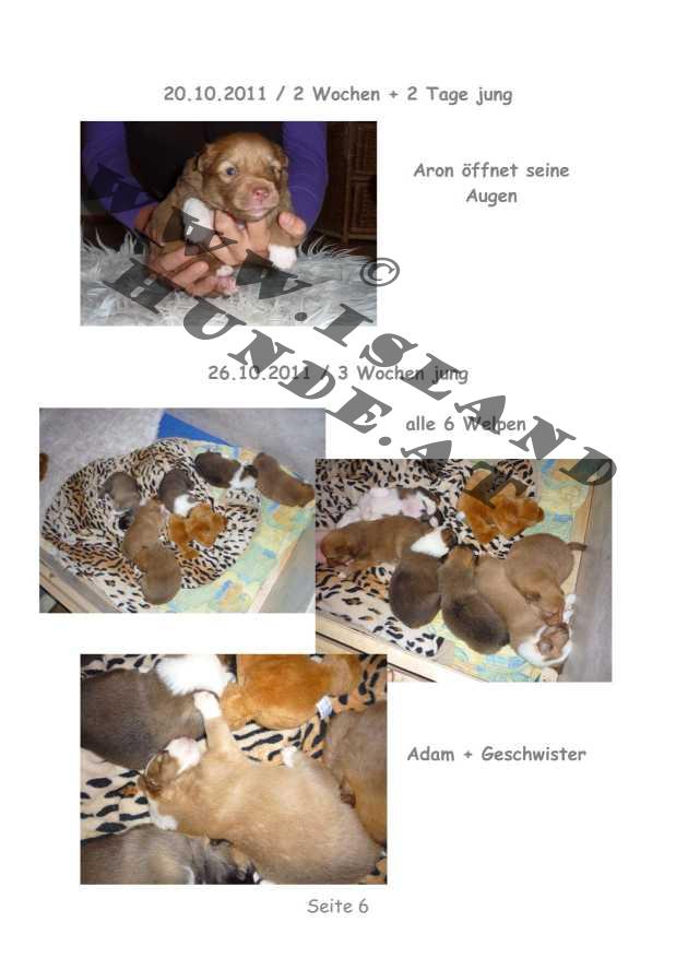 A-Wurf – Bild 6
