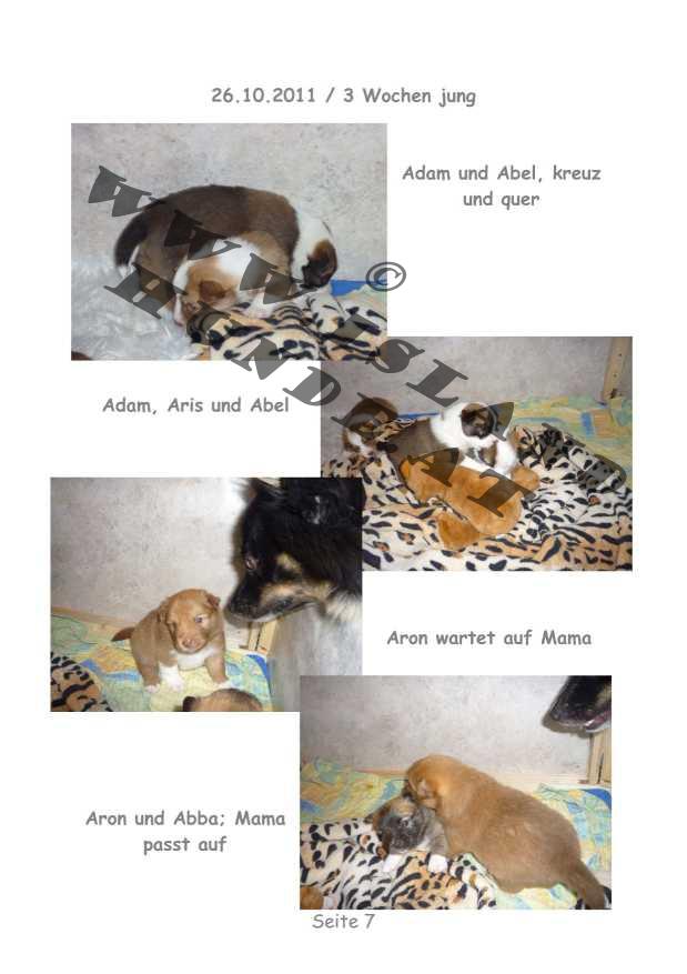 A-Wurf – Bild 7