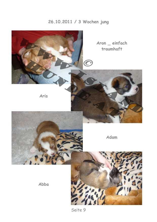 A-Wurf – Bild 9