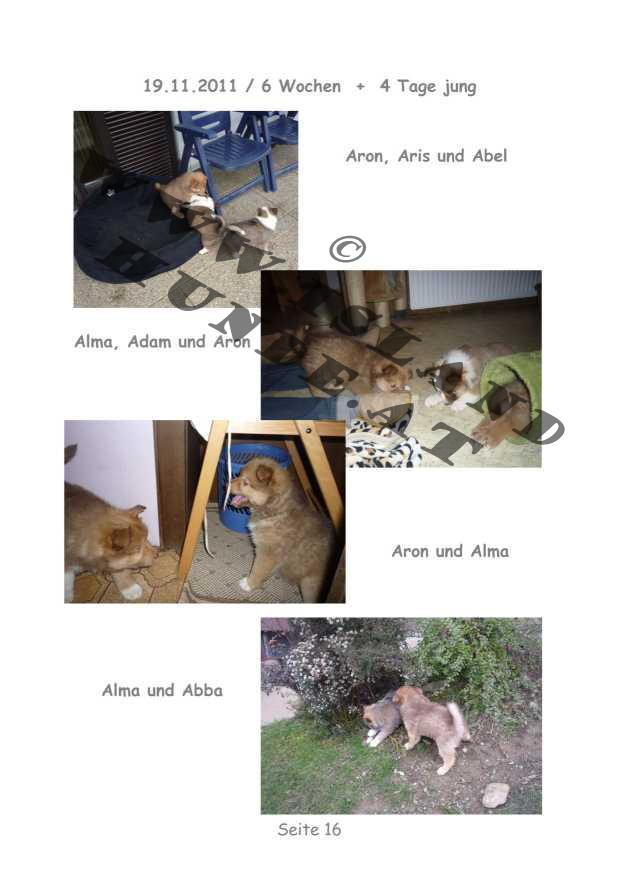 A-Wurf – Bild 16