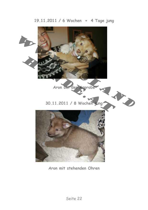 A-Wurf – Bild 22